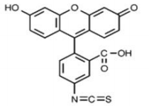 5f30c3c382de8.png image.png